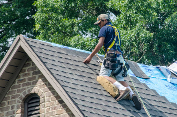 Best Gutter Installation and Roofing  in Affton, MO